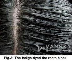 260528101520_Hair-Dyed with indigo-s.jpg